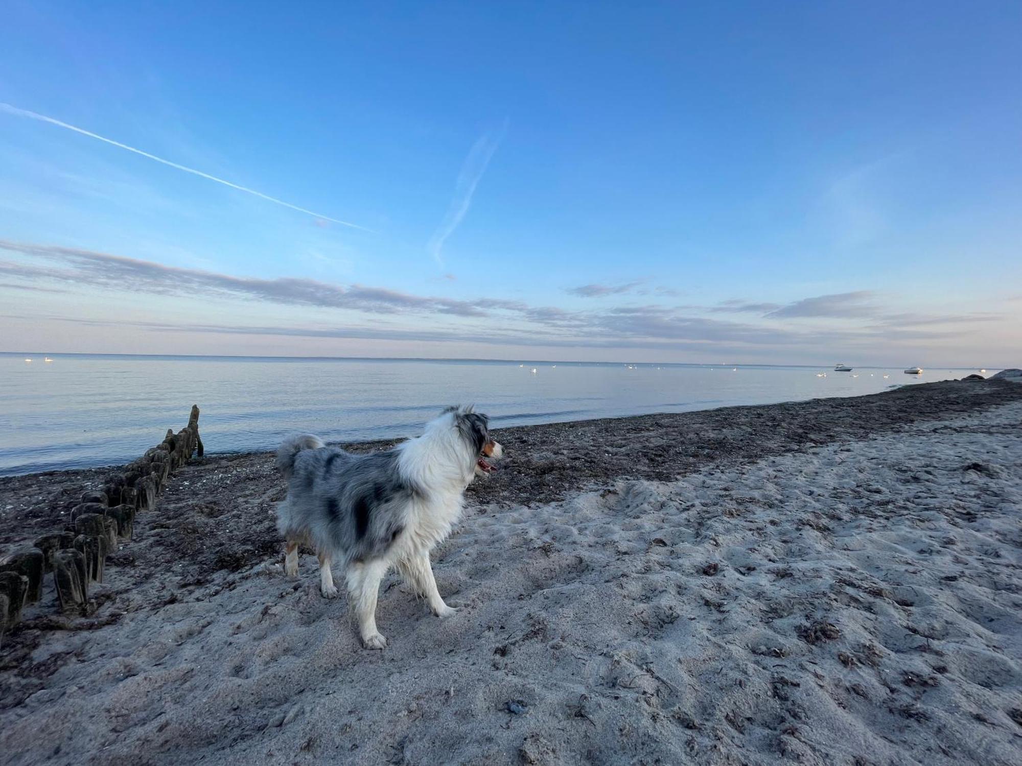 Die Luette Welle Groemitz Luaran gambar